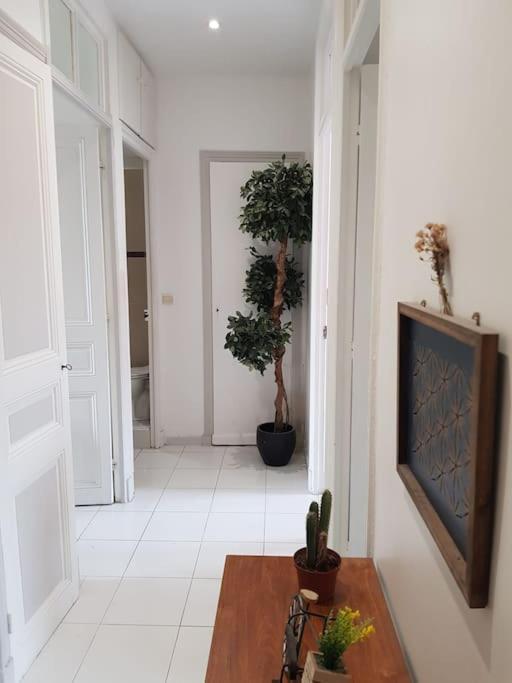 Cosy 3 Pieces Proche Appartement Nice